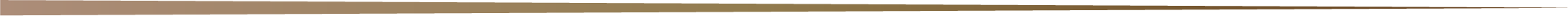 Decorative line